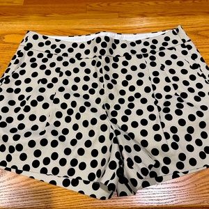 J crew NWT polka dot shorts